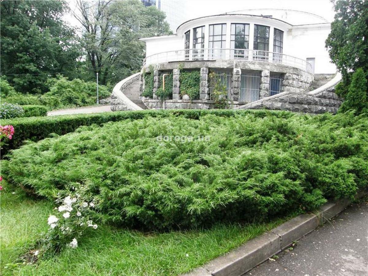 Kyiv Top Location 60M2 Apt In Old City Fast Wifi Selfchekin Exterior foto